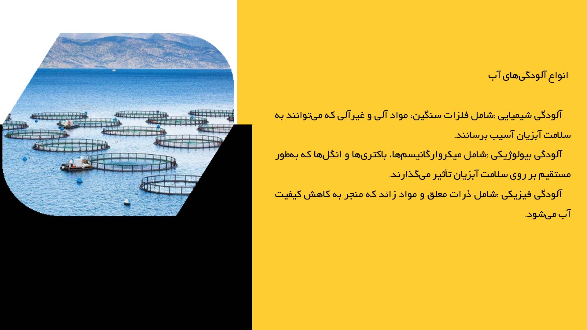 پاورپوینت در مورد تأثیرات آلودگی آب بر سلامت آبزیان